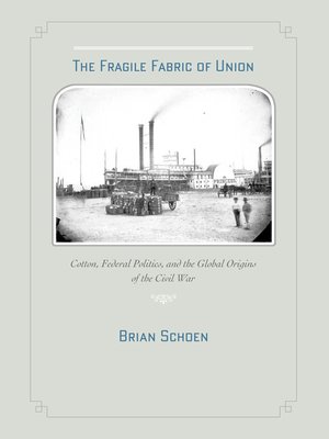 cover image of The Fragile Fabric of Union